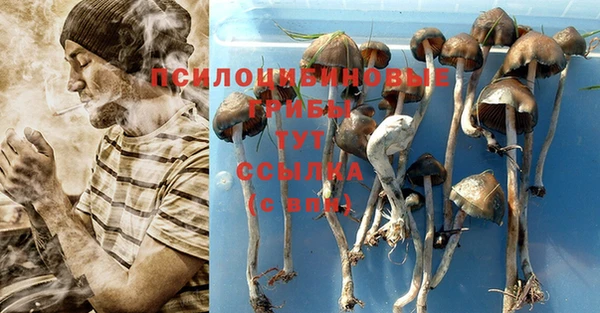 тгк Алзамай