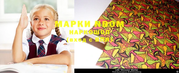тгк Алзамай
