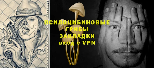 тгк Алзамай