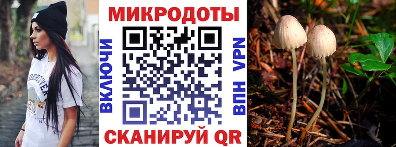 магазин  наркотиков  Новосиль  Галлюциногенные грибы Psilocybine cubensis 